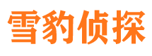 大兴安岭市侦探公司